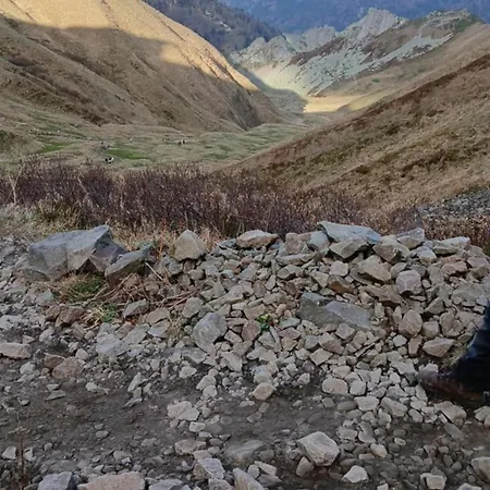 Chaleureux Et Cosy * Le Mont-Dore